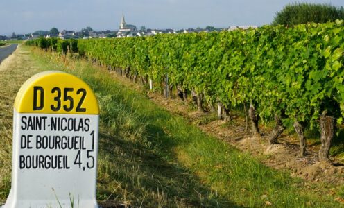 Séance Mai 2026 – Bourgueil